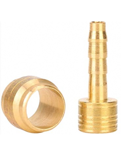 OLIVA MAGURA - AVID ASHIMA