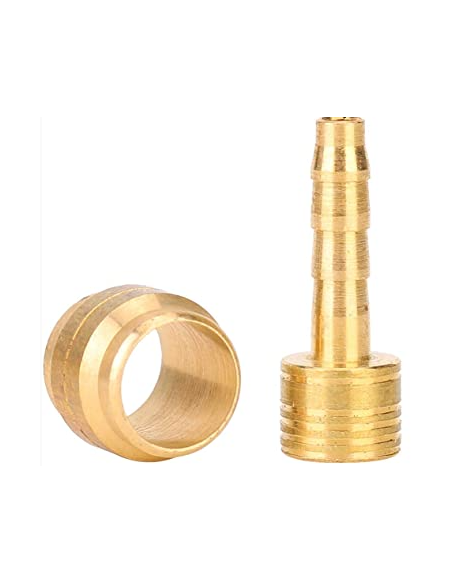 OLIVA MAGURA - AVID ASHIMA