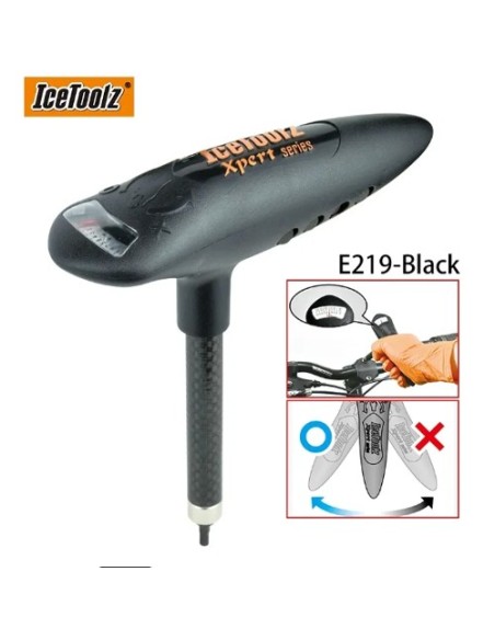 JUEGO DE LLAVES DINAMOMÉTRICAS ICETOOLZ MOD.E219