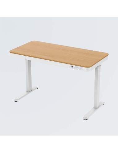 ESCRITORIO ELECTRICO REGULABLE MODELO ET119W-C