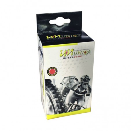 CAMARA ARO 24X1.95/2.10 A/V 48MM